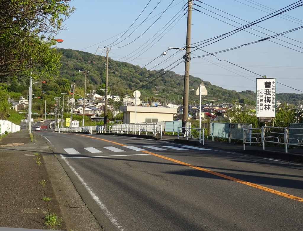 2018-04-08 渋沢丘陵など011.jpg